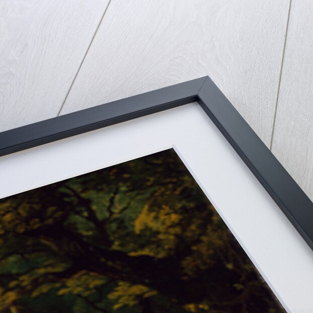 The Browne Family by Francis Wheatley