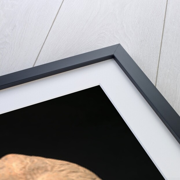 William Hayley by Thomas Alphonso Hayley