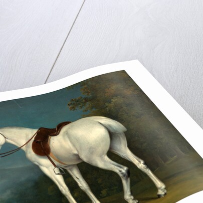 A Lady's Grey Hunter by Jacques-Laurent Agasse