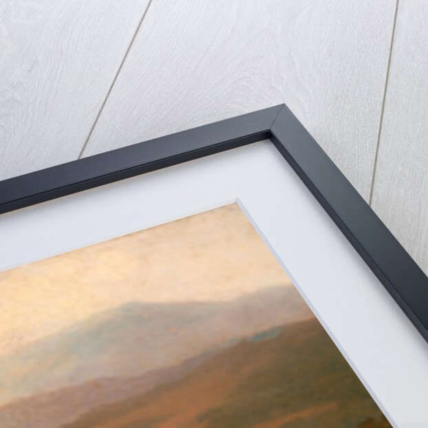 Three Vicunas by Jacques-Laurent Agasse