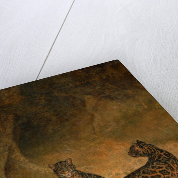 Clouded Leopards by Jacques-Laurent Agasse