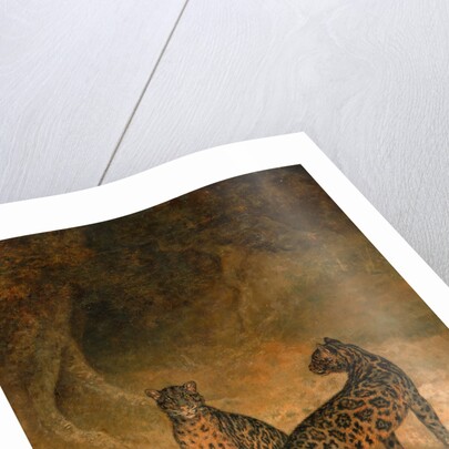 Clouded Leopards by Jacques-Laurent Agasse