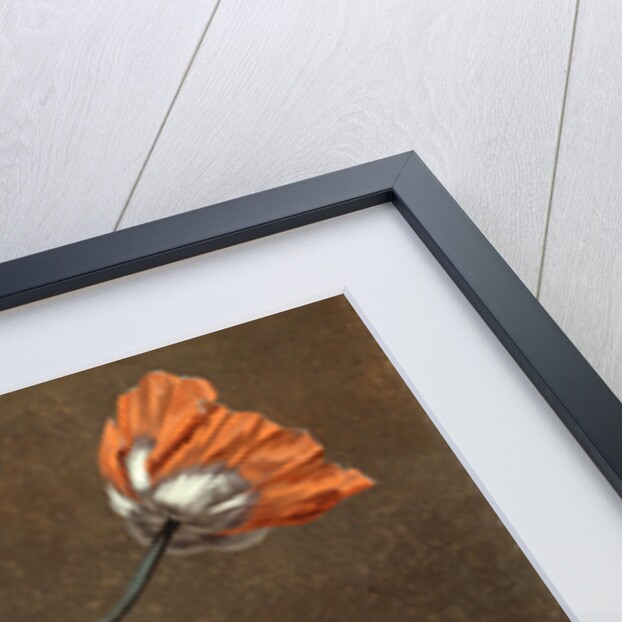 Poppies and Tradascanthus by Anonymous