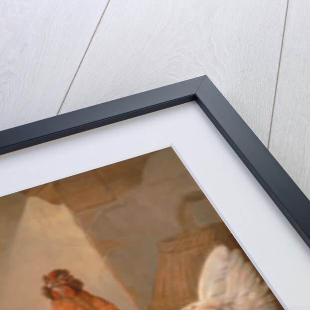 Domestic Cock, Hens, and Chicks by Francis Barlow