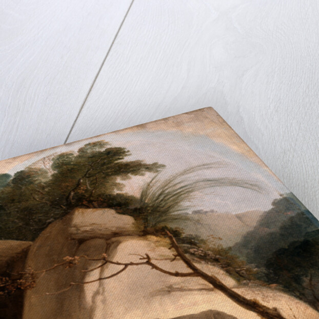 The Indian Rhinoceros by Thomas Daniell