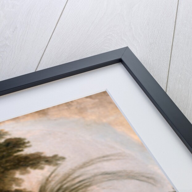 The Indian Rhinoceros by Thomas Daniell