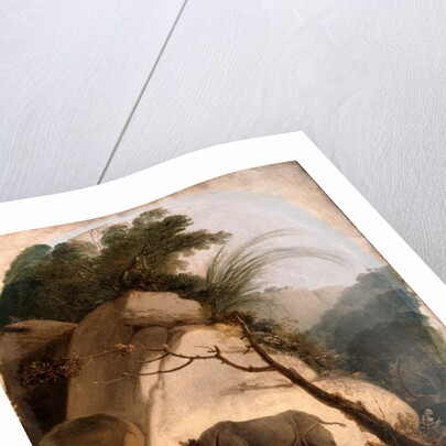 The Indian Rhinoceros by Thomas Daniell