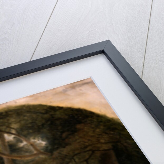 Kashmir Goats by William Daniell