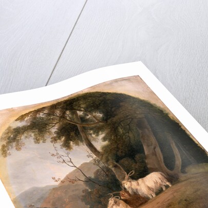 Kashmir Goats by William Daniell