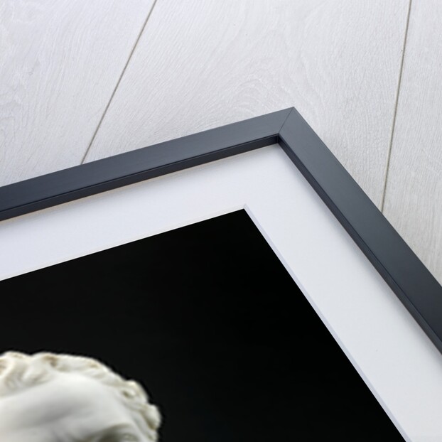 Portrait Bust of the Artist's Brother by Benjamin Gibson