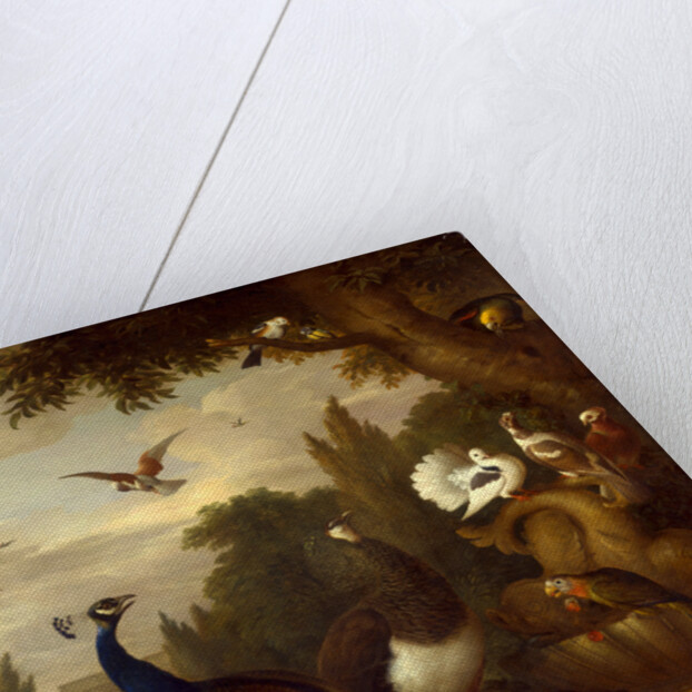 Peacock, peahen, parrots, canary, and other birds in a park by Jacob Bogdani