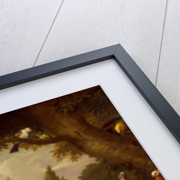 Peacock, peahen, parrots, canary, and other birds in a park by Jacob Bogdani