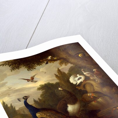 Peacock, peahen, parrots, canary, and other birds in a park by Jacob Bogdani