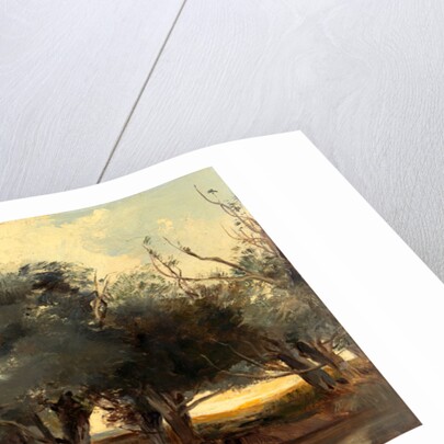 On the Norfolk Broads by Henry Bright