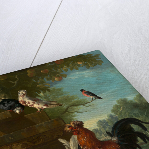 Domestic cock, hens, and chicks in a park by Peter Casteels