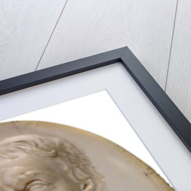 Sir Isaac Newton by David Le Marchand