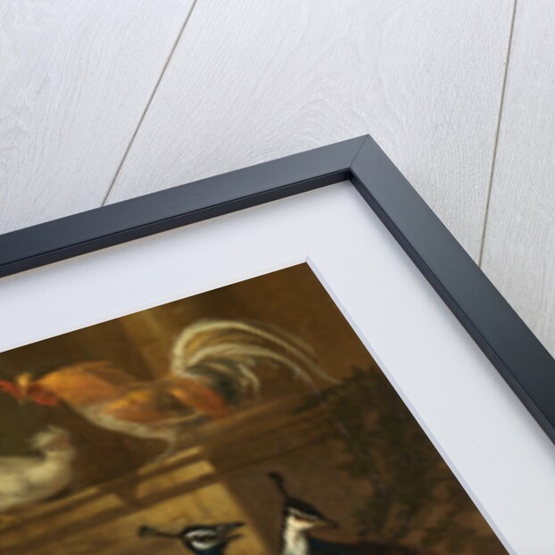 Peacocks, Doves, Turkeys, Chickens and Ducks by a Classical Ruin by Marmaduke Cradock