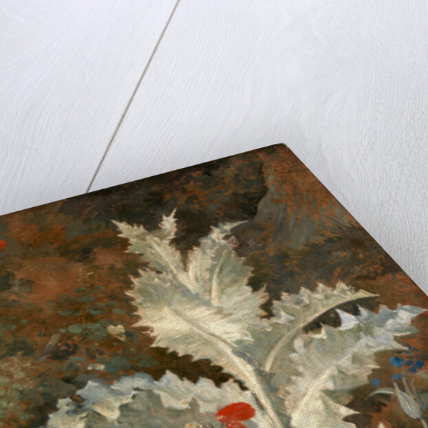 A Thistle by John Crome