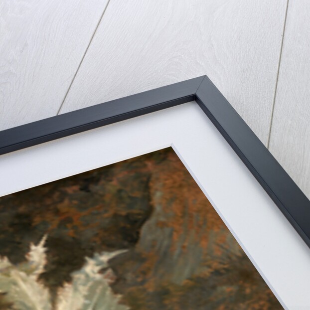 A Thistle by John Crome