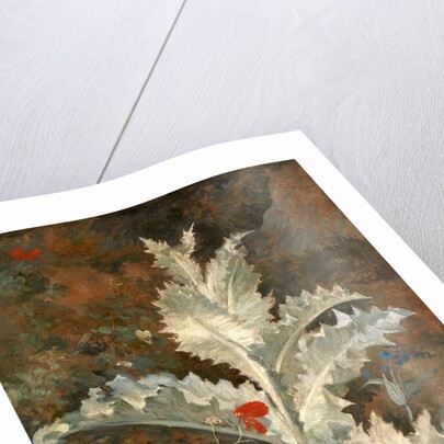 A Thistle by John Crome