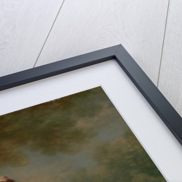 A Lady with a Book Portrait of a Lady by Bartholomew Dandridge