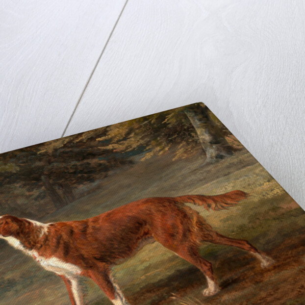 Ranger, a setter, the property of Elizabeth Gray Ranger by George Garrard