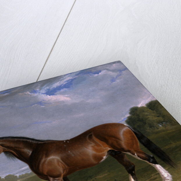 A Clydesdale Stallion by John Frederick Herring