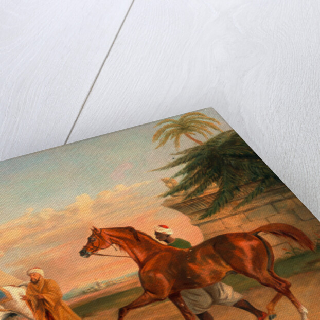 Mameluke purchasing an Arabian stallion by George Henry Laporte