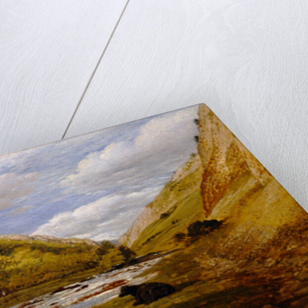 In Dovedale by John Linnell