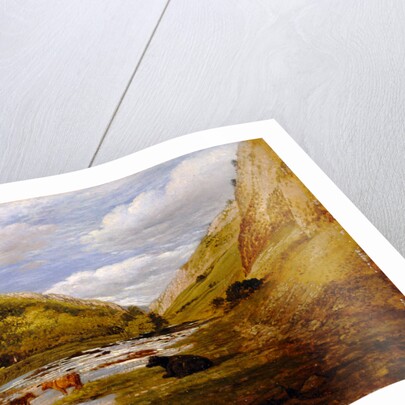 In Dovedale by John Linnell