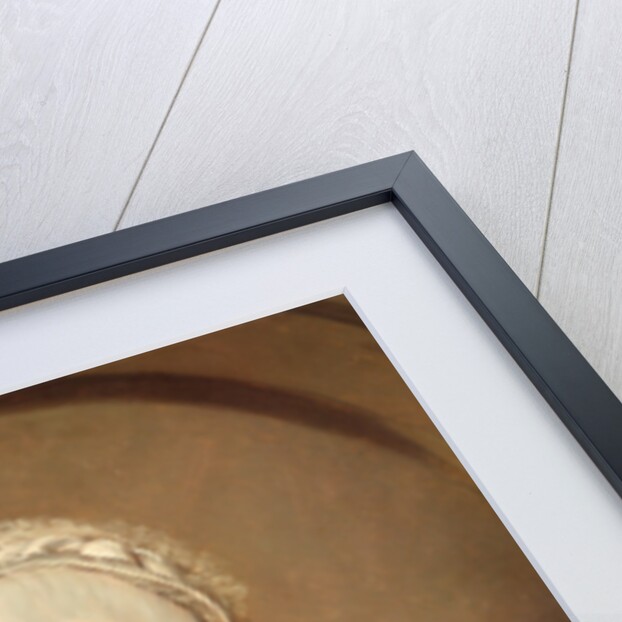 Mrs. Lushington Mary Lushington by John Hamilton Mortimer