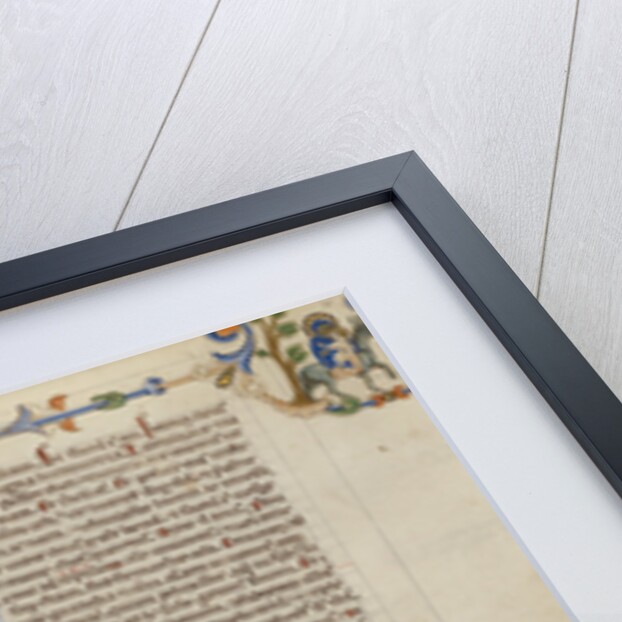 Initial I: Scenes of the Creation of the World and the Life of Christ by Anonymous