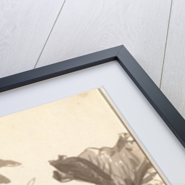 Study of Coltsfoot Leaves by Franz Innocenz Kobell