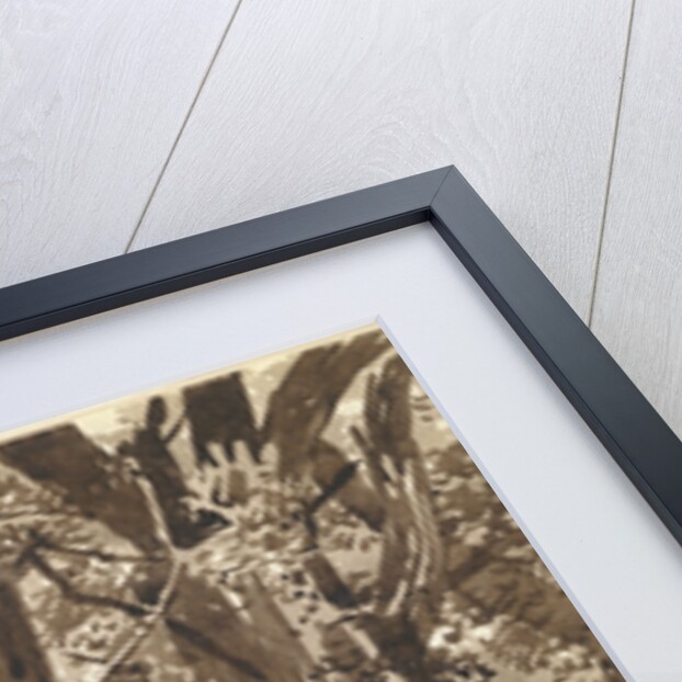 Trunks and Branches by Franz Innocenz Kobell