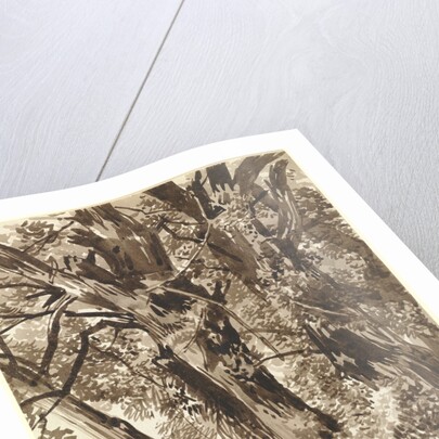 Trunks and Branches by Franz Innocenz Kobell