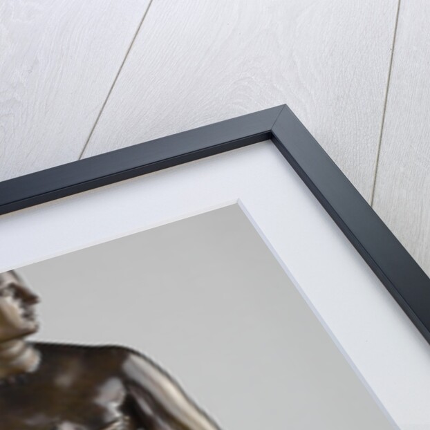 Medici Venus by Pietro Cipriani