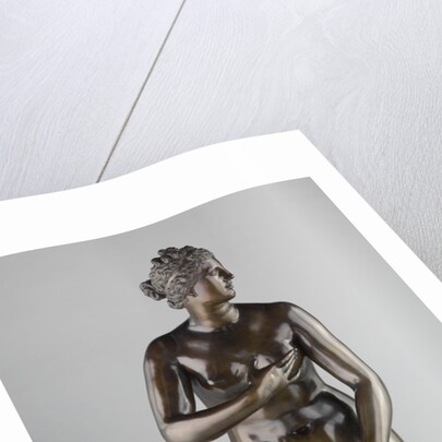 Medici Venus by Pietro Cipriani