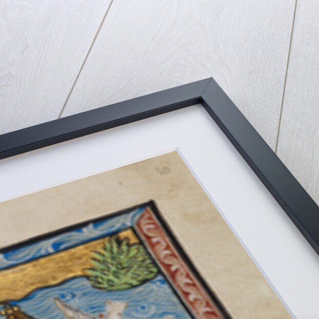 Noah's Ark by Anonymous