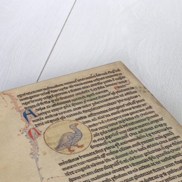 A Duck, Bees by Anonymous