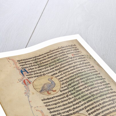 A Duck, Bees by Anonymous