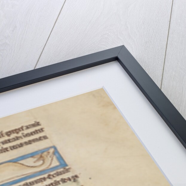 A Boa, A Jaculus, A Siren by Anonymous