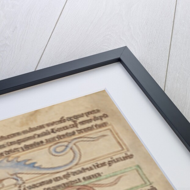 A Seps, A Lizard, A Saura, A Newt by Anonymous