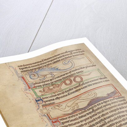 A Seps, A Lizard, A Saura, A Newt by Anonymous