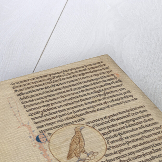 A Partridge by Anonymous