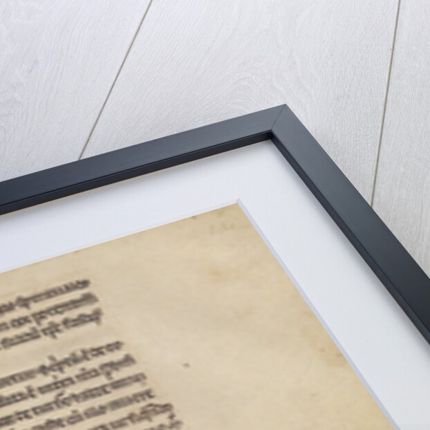 Turtledoves, Doves by Anonymous