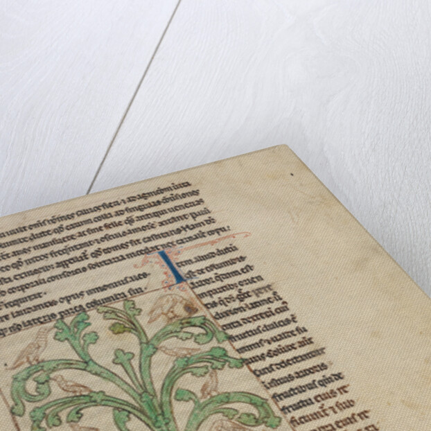 A Peridexion by Anonymous