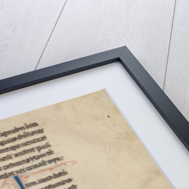 A Peridexion by Anonymous