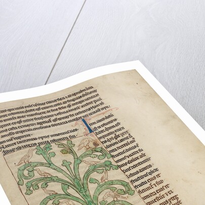 A Peridexion by Anonymous