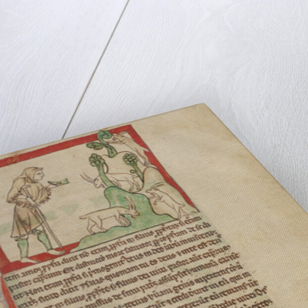 The Prophet Amos by Anonymous