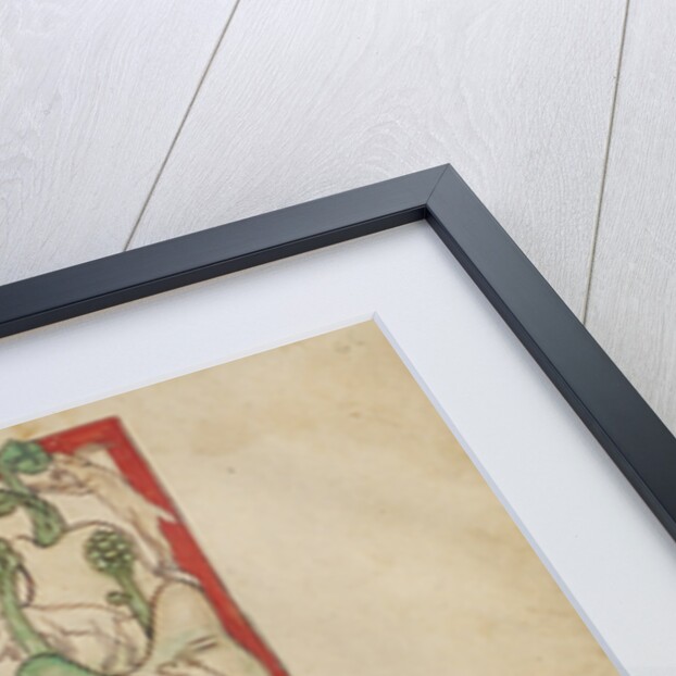 The Prophet Amos by Anonymous